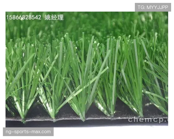 草坪场地规则拆解：尺寸、质量及判罚标准详解